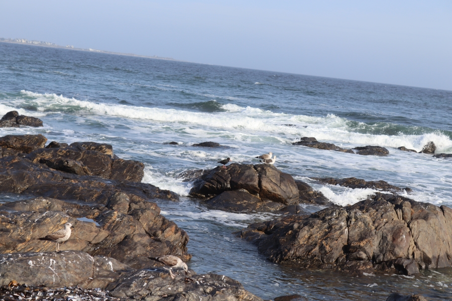 0 Bedroom Property for Sale in Britannica Heights Western Cape